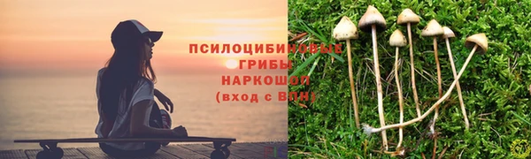 амфетамин Алексин