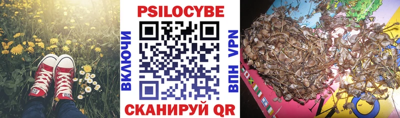 Галлюциногенные грибы MAGIC MUSHROOMS  Багратионовск 
